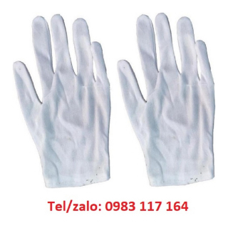 Bán Găng Tay Chế Biến Thức Ă, Nuôi Trồng Thủy Hải Sản