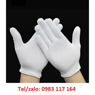 Bán Găng Tay Chế Biến Thực Phẩm, Thủy Hải Sản Giá Tốt