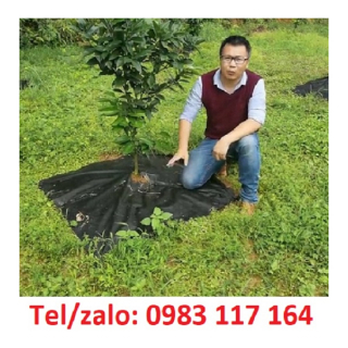 Bán Màng Phủ Nông Nghiệp 2m, Ship Nhanh Tận Nơi 