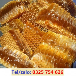 BÁN MẬT ONG RỪNG LOẠI TỐT – GIÁ BAO NHIÊU 1 LÍT?    