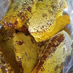 BÁN MẬT ONG RỪNG NGUYÊN CHẤT – SHIP COD TOÀN QUỐC