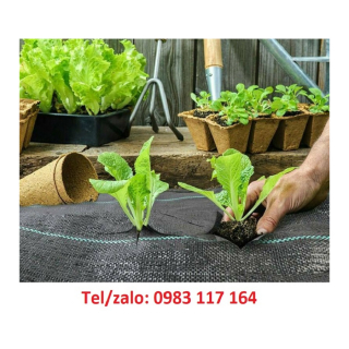 Bạt Màng Phủ Nông Nghiệp Giá Rẻ, Chất Lượng, Uy Tín 