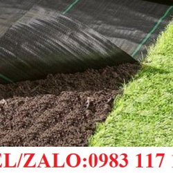 BẠT NHỰA PP PHỦ ĐẤT NGĂN CỎ DÀI 100M NHIỀU KHỔ