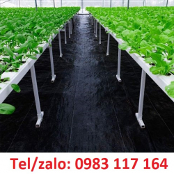 BẠT PHỦ ĐẤT NGĂN CỎ KHỔ 1M, 1.5M, 2M, 3.2M, 4M