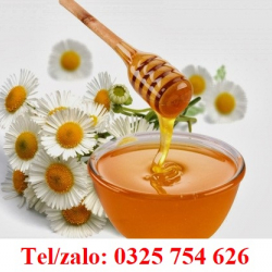 MẬT ONG RỪNG GIÁ RẺ - CÁC CÔNG DỤNG MẬT ONG