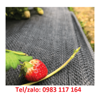 Cách Trải Màng Phủ Nông Nghiệp 