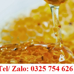 CÔNG DỤNG CỦA MẬT ONG RỪNG TRONG LÀM ĐẸP DA