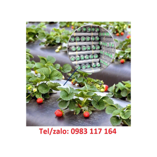 CÔNG TY CUNG CẤP SỈ BẠT CHỐNG CỎ, BẠT PHỦ ĐẤT 90GR 