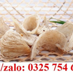 CUNG CẤP SỈ LẺ NƯỚC YẾN SÀO ĐÓNG CHAI