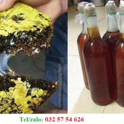ĐỊA CHỈ BÁN MẬT ONG RỪNG TỤ NHIÊN, 100% MẬT RỪNG