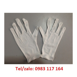  Găng Tay Cao Su Y Tế Chất Lượng, Uy Tín Giá Tốt 