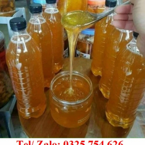 GIÁ 1 LÍT MẬT ONG RỪNG BAO NHIÊU TIỀN    
