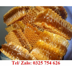 GIÁ BÁN MẬT ONG RỪNG BẢO AN TÂY NINH BAO NHIÊU 1LIT