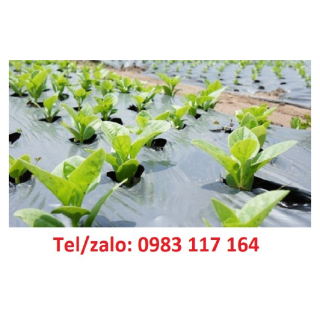 Giá Màng Phủ Nông Nghiệp Rẻ Nhất 
