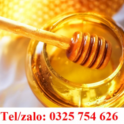 GIÁ MẬT ONG RỪNG BAO NHIÊU TIỀN 1 LÍT - CÁC CÔNG DỤNG MẬT ONG RỪNG