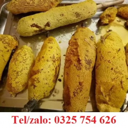 GIÁ MẬT ONG RỪNG MỚI NHẤT NĂM NAY        