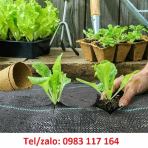 Màng Phủ Ngăn Cỏ Mọc, Thoáng Khí, Không Thấm Nước Giá Rẻ 