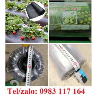 Màng Phủ Nông Nghiệp 1m4 Giá Rẻ 