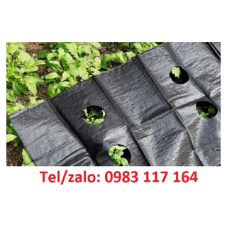 Màng Phủ Nông Nghiệp Giá Rẻ Tại Tphcm 