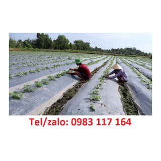 Màng Phủ Nông Nghiệp Là Gì, Địa Chỉ Cung Cấp Uy Tín 