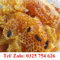 MẬT ONG PHA NƯỚC CAM VẮT – UỐNG MẬT ONG ĐẸP DÁNG DƯỠNG DA