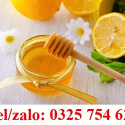 MẬT ONG RỪNG BẠC HÀ GIÁ RẺ    