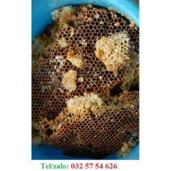 MẬT ONG RỪNG BẢO AN TÂY NINH – MẬT RỪNG TỰ NHIÊN CAO CẤP