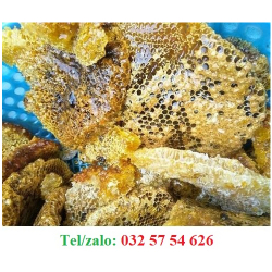 MẬT ONG RỪNG BAO NHIÊU 1 LÍT – GIÁ BÁN MẬT ONG RỪNG NGUYÊN CHẤT