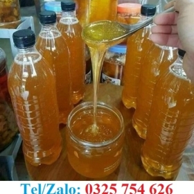 MẬT ONG RỪNG CHUẨN TỰ NHIÊN BẢO HÀNH UY TÍN