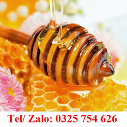 MẬT ONG RỪNG NGHỆ AN, CHẤT LƯỢNG, NGUYÊN CHẤT 100%