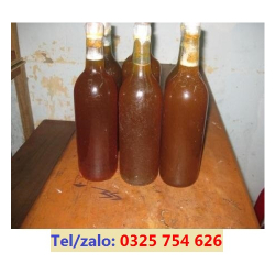 MẬT ONG RỪNG NGUYÊN CHẤT – MẬT RỪNG TRƯỜNG SƠN 