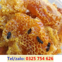 MẬT ONG RÙNG TÂY NGUYÊN GIÁ SỈ, SHIP COD TOÀN QUỐC