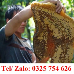 MẬT ONG RỪNG TỰ NHIÊN GIÁ BAO NHIÊU TIỀN 1 LÍT?