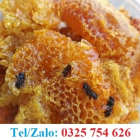 MẬT ONG RỪNG TỰ NHIÊN THƠM NGỌT NGUYÊN CHẤT