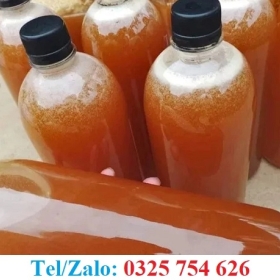 MUA MẬT ONG RỪNG THẬT Ở ĐÂU ĐẢM BẢO