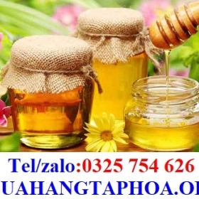 GIÁ MẬT ONG NUÔI, MẬT ONG HOA CÀ PHÊ