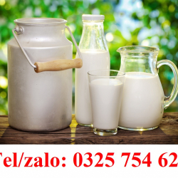 NGŨ CỐC GIÀU CANXI, THƠM NGON – SHIP COD TOÀN QUỐC