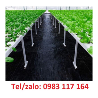 NHÀ PHÂN PHỐI SỈ BẠT NHỰA PP TRẮNG ĐEN NGĂN CỎ DẠI 
