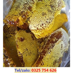 MẬT ONG RỪNG NGUYÊN CHẤT