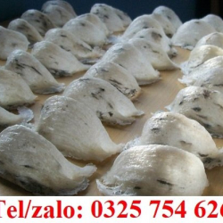 NƯỚC YẾN CHƯNG SẴN 100% KHÔNG CHẤT BẢO QUẢN