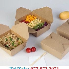 SẢN XUẤT CUNG CẤP HỘP GIẤY ĐỰNG CƠM, HỘP GIẤY ĐỰNG BÁNH 