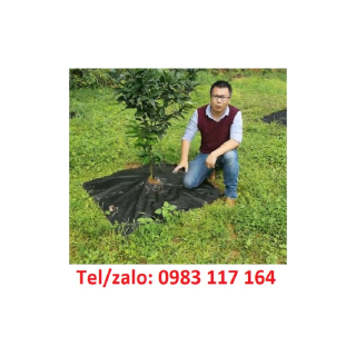 Tác Dụng Của Màng Phủ Nông Nghiệp 