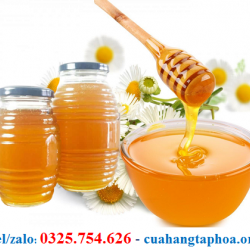 TÁC DỤNG CỦA MẬT ONG RỪNG ĐỐI VỚI BÀ BẦU