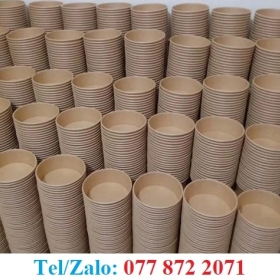 TÔ GIẤY 750ML, 100ML ĐỰNG HỦ TÍU, BÚN