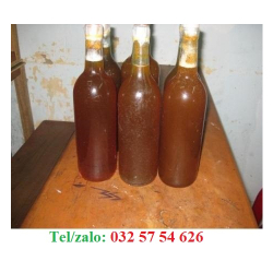 UỐNG MẬT ONG RỪNG VỚI CHANH GIÚP GIẢM HO NHANH CHÓNG