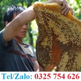 UY TÍN MẬT ONG RỪNG NGUYÊN CHẤT KHÔNG PHA CHẾ 