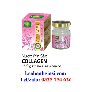 Yến Sào Collagen Hủ 70ml Yến 18%