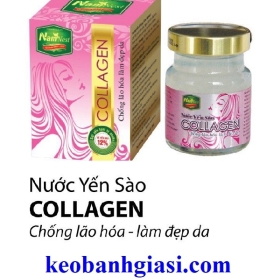 YẾN SÀO COLLAGEN HŨ 70ML YẾN 18%